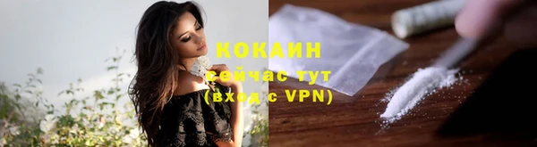 шишки Абдулино