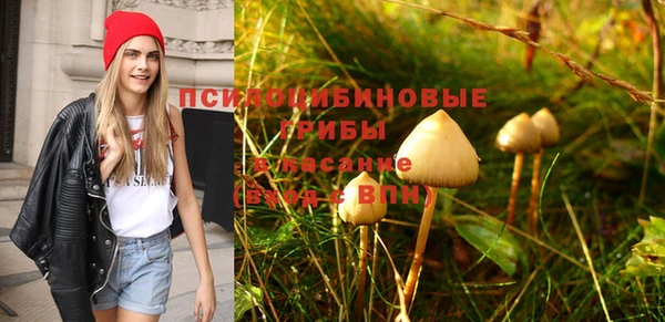 экстази Алексин