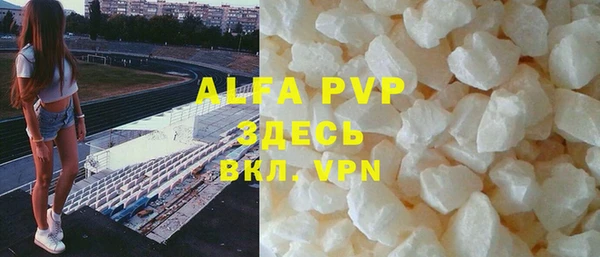 стаф Ростов