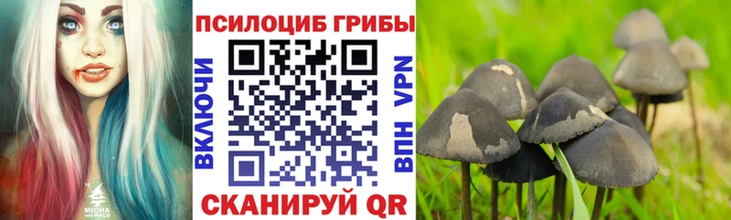 сайты даркнета официальный сайт  Кирсанов  Галлюциногенные грибы MAGIC MUSHROOMS 